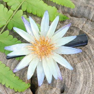 'Artisan-Made Resin-Coated Blue Waterlily Flower Hair Clip'
