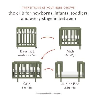 Babyletto Pogo 8-in-1 Convertible Crib w/All-Stages Conversion Kits - Olive