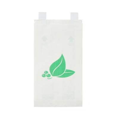 Medline Paper Bedside Bag, White, 6.3" x 2" x 11.75", 2000/CS (NON24309X)