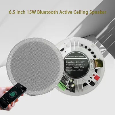 Amplificateur numérique de classe D étanche, haut-parleur de plafond compatible Bluetooth, haut-parleur à charge active pour audio intérieur, 15W, 6 pouces