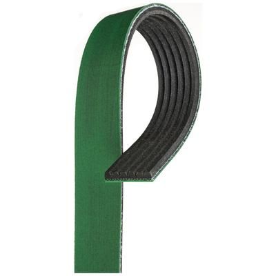 Gates Serpentine Belt EPDM & Polyester Cord V-belt Micro-V Series, Lifetime limited warranty K060883HD