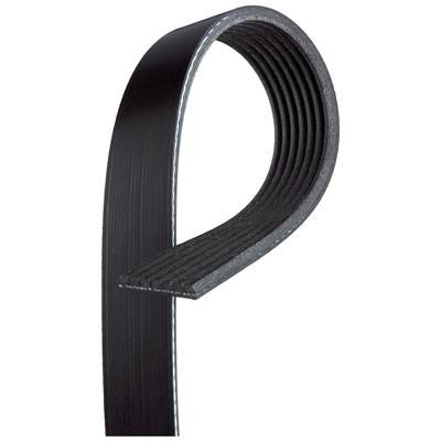 Gates Serpentine Belt, K070448