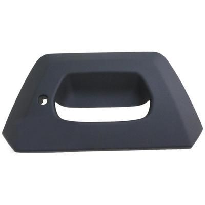 Dorman Tailgate Handle Bezel Help Series, Lifetime limited warranty 82779
