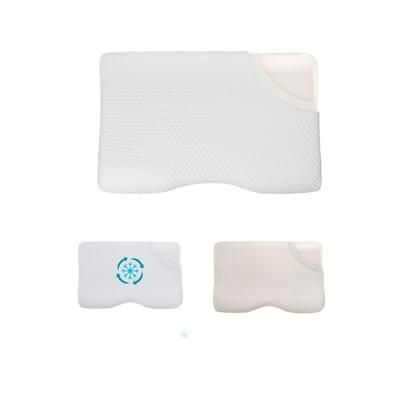 INPHYSIO Cuscino DELUXE + Federa FRAICHETOUCH 1 St