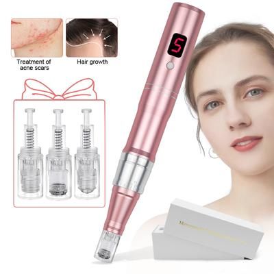 Professional Microneedeling Pen Machine Skin Care Kit EU Plug 10pcs Mixed With Box