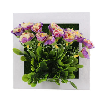 Succulent Wall Hanger Frame Design 1