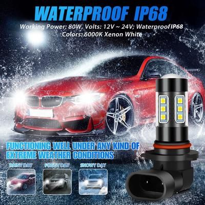 Super White LED Fog Light Bulbs, H10 9145 9005 Compatible 6000K Driving Lamp & DRL Kit (2 Pack) Super White LED Fog Light Bulbs, H10 9145 9005 Compatible 6000K Driving Lamp & DRL Kit (2 Pack)