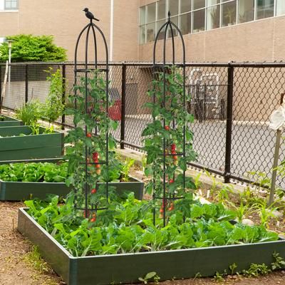 2 Pack Garden Obelisk Trellis For Climbing Plants, Adjustable Metal Plant Support Tower For Outdoor Roses, Tomatoes 2 Pack Garden Obelisk Trellis For Climbing Plants, Adjustable Metal Plant Support Tower For Outdoor Roses, Tomatoes
