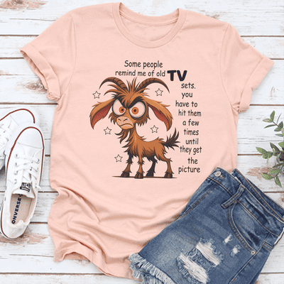 Some People Remind Me Of Old Tv Sets You Have To Hit Them A Few Times Tee 2XL Heather Prism Peach