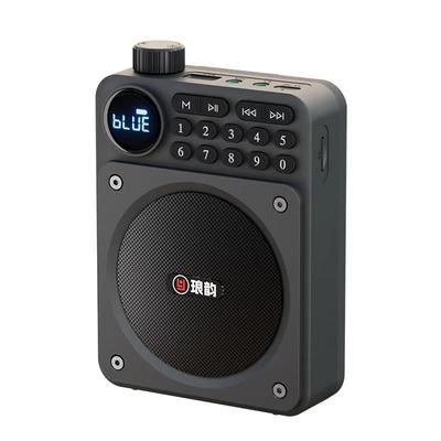 Mini Digital FM Radio HD Display Bluetooth Speaker Portable Voice Amplifier With USB TF Card Slot & Removable Battery gray