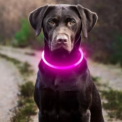 Pet Dog LED Light Collar Luminous Anti Lost Dog Collar USB Rechargeable Dog Necklace Collar pink s