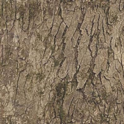 Beavertail 1700/1800 Flip Lid Boat Blind - Blind Spot Timber