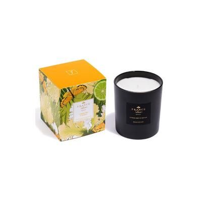 Women's Scented Candle by France Luxe in Citron Vert Basilic (Size OS)