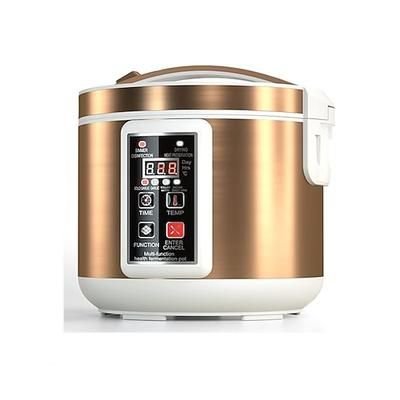 Fermentatore automatico per aglio nero da 6 litri, macchina per yogurt con controllo della temperatura