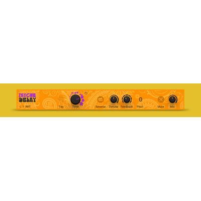 Native Instruments Psyche Delay