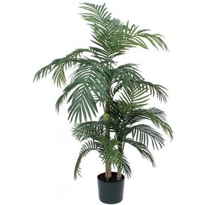 Plante Palmier Areca Golden Cane Vert Hauteur 150cm - Vepabins