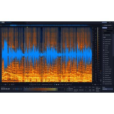 iZotope RX 12 Standard EDU