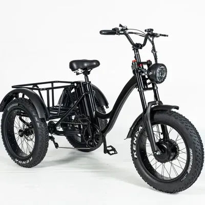 24/26 Inch NEW Fat Tire Motorized Electric Tricycle with EN15194/ Cheap Electric Trike/ 3 Wheel Electric Bike with Pedals