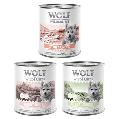 6x800g Mixed Pack Junior Expedition Wolf of Wilderness Wet Dog Food