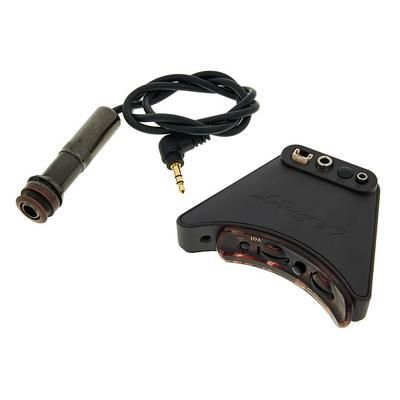 L.R.Baggs Session VTC B-Stock