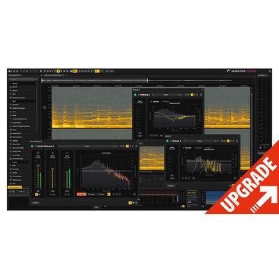 Acon Digital Acoustica 8 Premium UPG St. 7