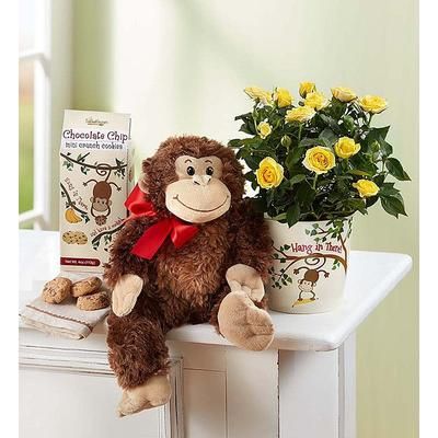 1-800-Flowers Flower Delivery Hang In There Rose Plant W/ Monkey & Cookies | Happiness Delivered To Their Door