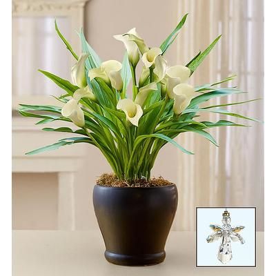 1-800-Flowers Everyday Gift Delivery Loving Memory White Calla Lily Large W/ Guardian Angel | Happiness Delivered To Their Door
