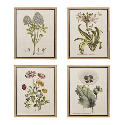 Martha Stewart Herbal Botany Set Framed Linen Canvas 4-Pc Set - Olliix MT95C-0006