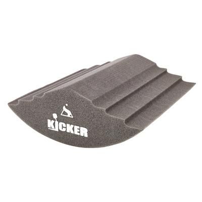 "Sonitus Acoustics The Kicker 22"x14" BD Pillow"