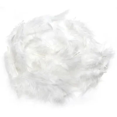 Plumes pour bricolage, blanc, 30 pièces