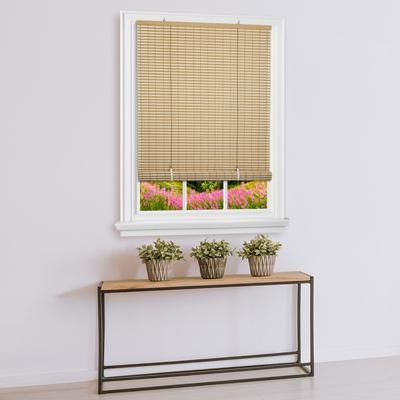 Wide Width Cordless Veranda Vinyl Roll-Up Blind by Achim Home Décor in Desert Almond (Size 60" W 72" L)