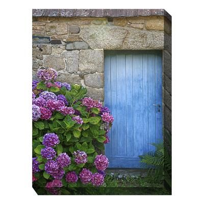 All Weather All Season Outdoor Canvas Art by West Of The Wind in Multi