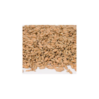 Graines d'épeautre, 1 000 g