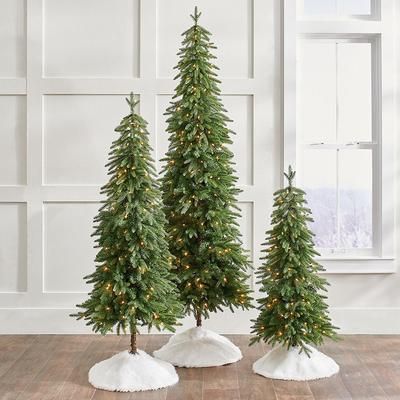 Christmas Down Swept Slim Pine Tree, Set Of Three - Grandin Road