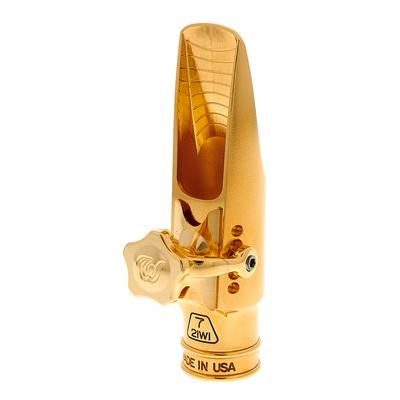 Theo Wanne Gaia IV Alto 7 Metal