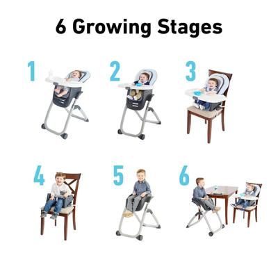 Graco DuoDiner DLX 6-in-1 High Chair - Mathis