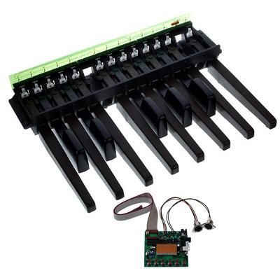 Doepfer MBP25 Electronic with 1 Pedal