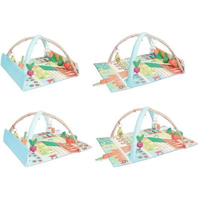 Skip Hop Farmstand Grow & Play Activity Gym