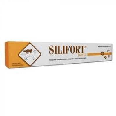 Silifort Pasta Os Siringa 15 G