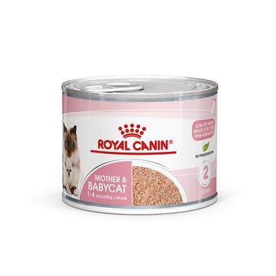 24x195g Mother & Babycat Mousse Royal Canin Wet Cat Food