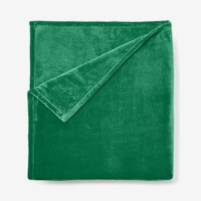 BH Studio Microfleece Blanket by BH Studio in Emerald (Size TWIN)