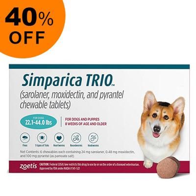 Simparica Trio For Dogs 22.1-44 Lbs (Teal) 6 Doses - Get 40% Off Today