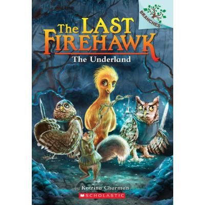 The Last Firehawk 11: The Underland (paperback) - by Katrina Charman