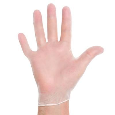 Strong 73024 General Purpose Vinyl Gloves - Powdered, Large, Clear