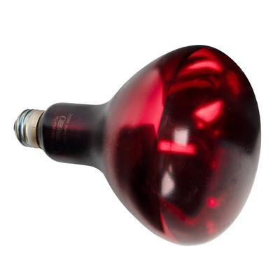 Hatco RED-CTD-120 250 Watt Heat Lamp Bulb - Red, Coated, 120v, 120 Volt