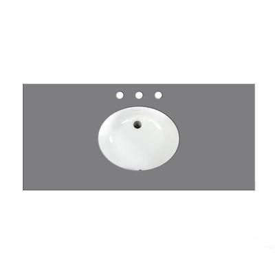Randolph Morris 48 Inch Vanity Top with Oval Undermount Sink RM48-8-GQ