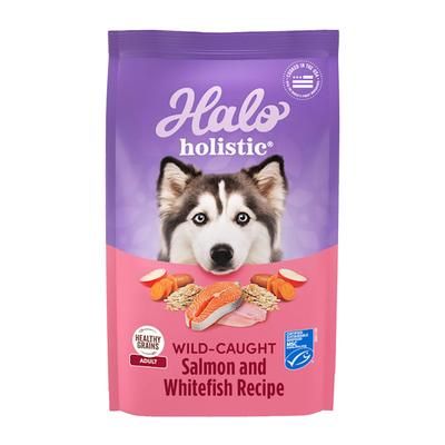 Holistic Complete Digestive Health Wild-caught Salmon and Whitefish Recipe Adult Dry Dog Food, 10 lbs.