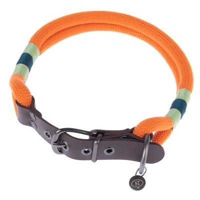 Nomad Tales Spirit Dog Collar | Tangerine | Size XL: 52-58cm Neck Circumference, 40mm Width