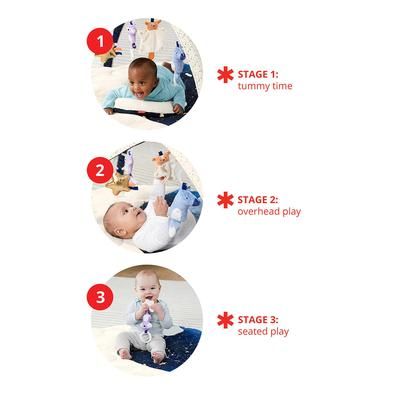 Skip Hop Celestial Dreams Activity Gym