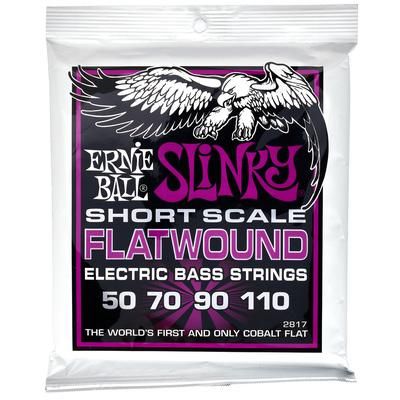 Ernie Ball Flatwound 2817